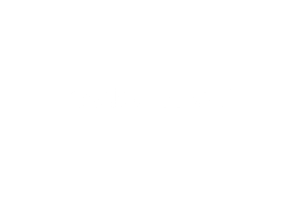 logo-gadget-nest