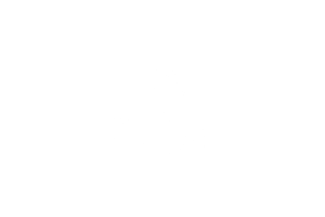 logo-petal