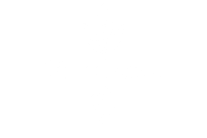 logo-vividroot